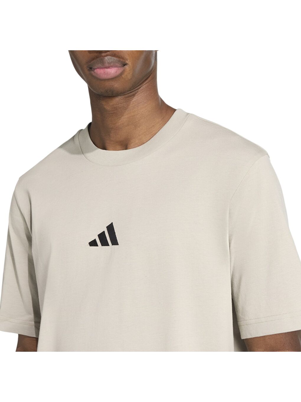 Sl Sj T Erkek Gri Tişört-2