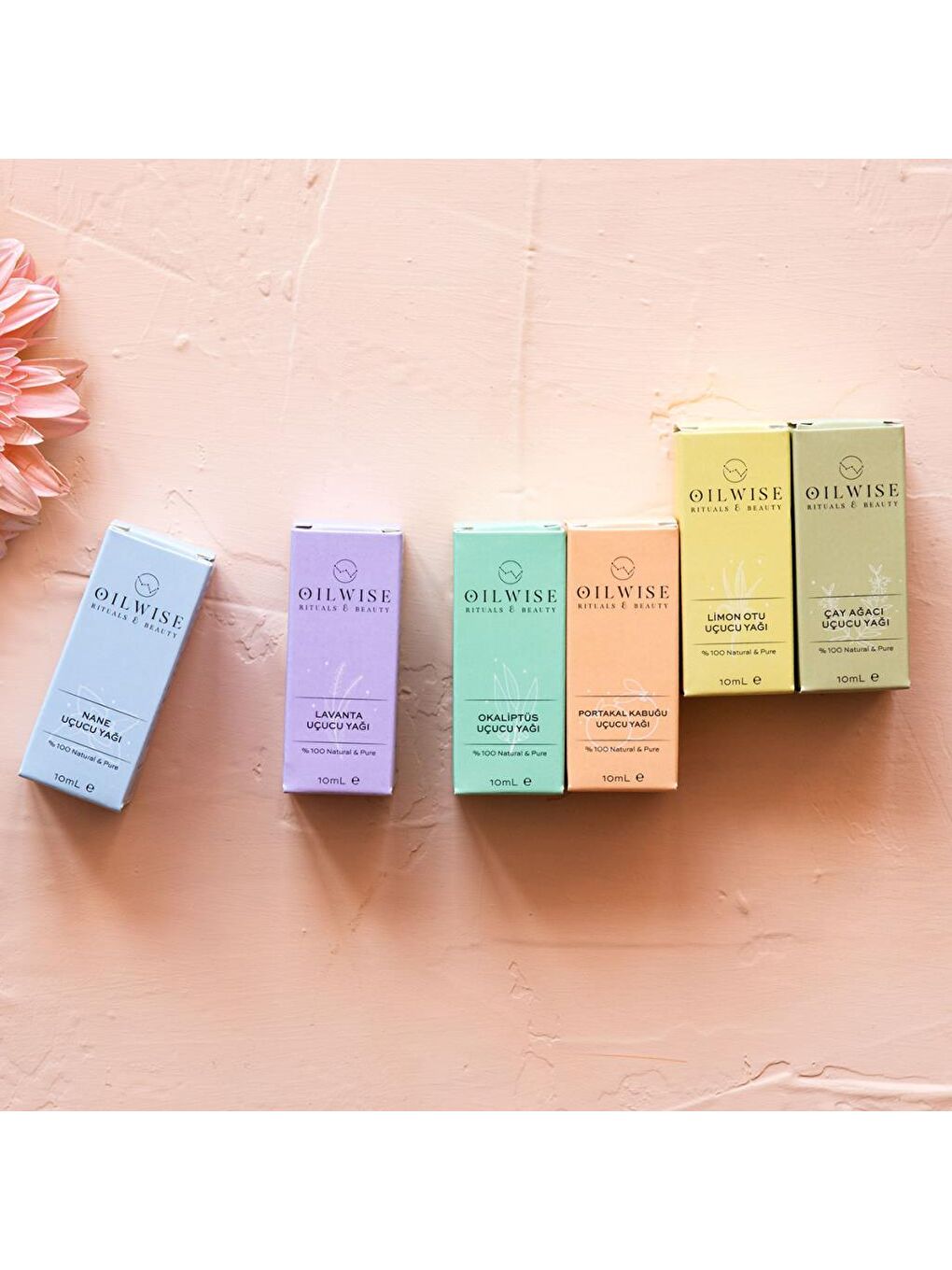 Rahatlatıcı ve Dengeleyici Limon Otu Uçucu Yağı 10 ml-4