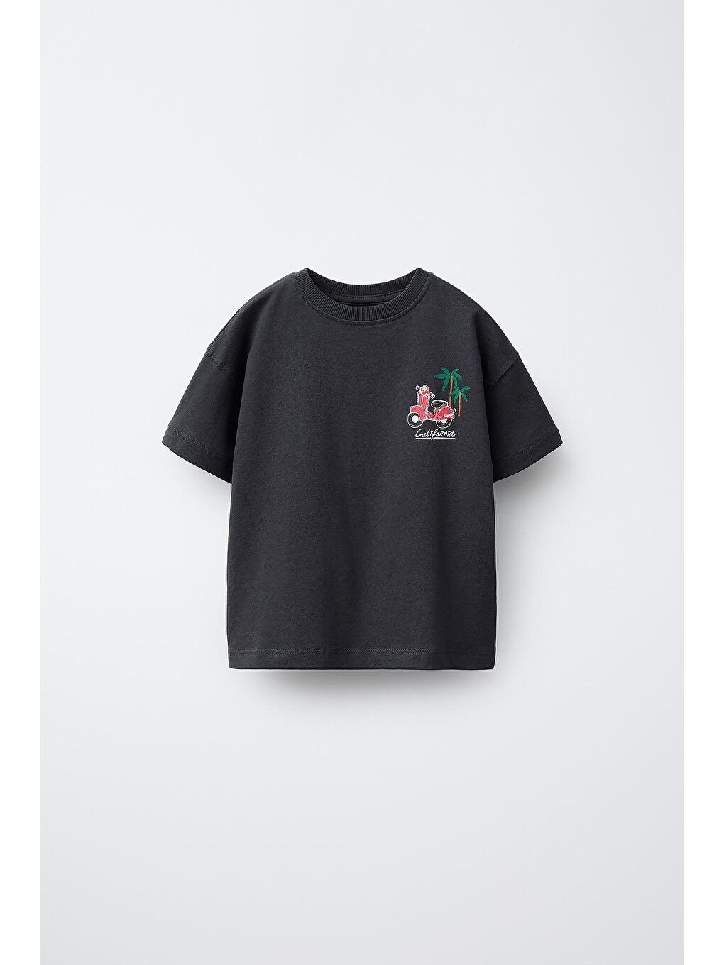 Karışık Erkek Çocuk Pamuklu Siyah California Baskılı T-Shirt Ve Çizgili Şort Takım-2