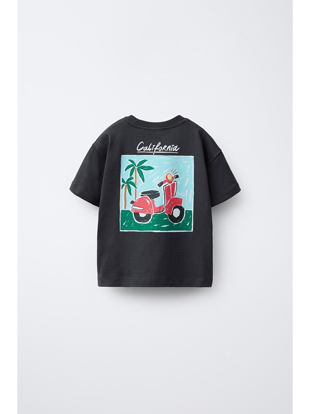 Karışık Erkek Çocuk Pamuklu Siyah California Baskılı T-Shirt Ve Çizgili Şort Takım-3