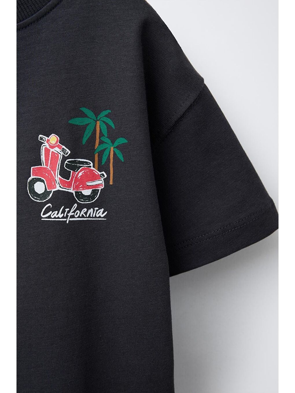 Karışık Erkek Çocuk Pamuklu Siyah California Baskılı T-Shirt Ve Çizgili Şort Takım-4