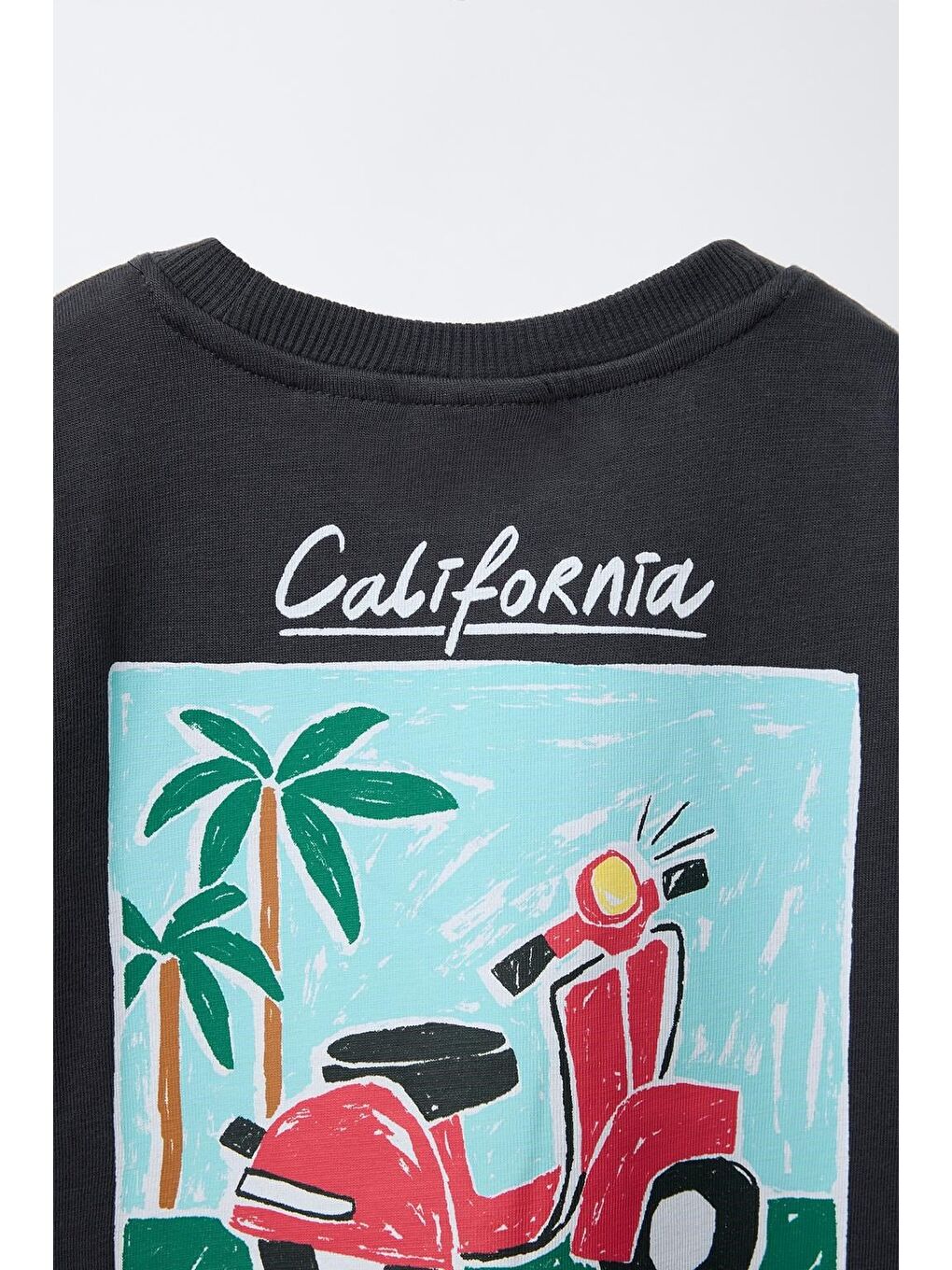 Karışık Erkek Çocuk Pamuklu Siyah California Baskılı T-Shirt Ve Çizgili Şort Takım-5