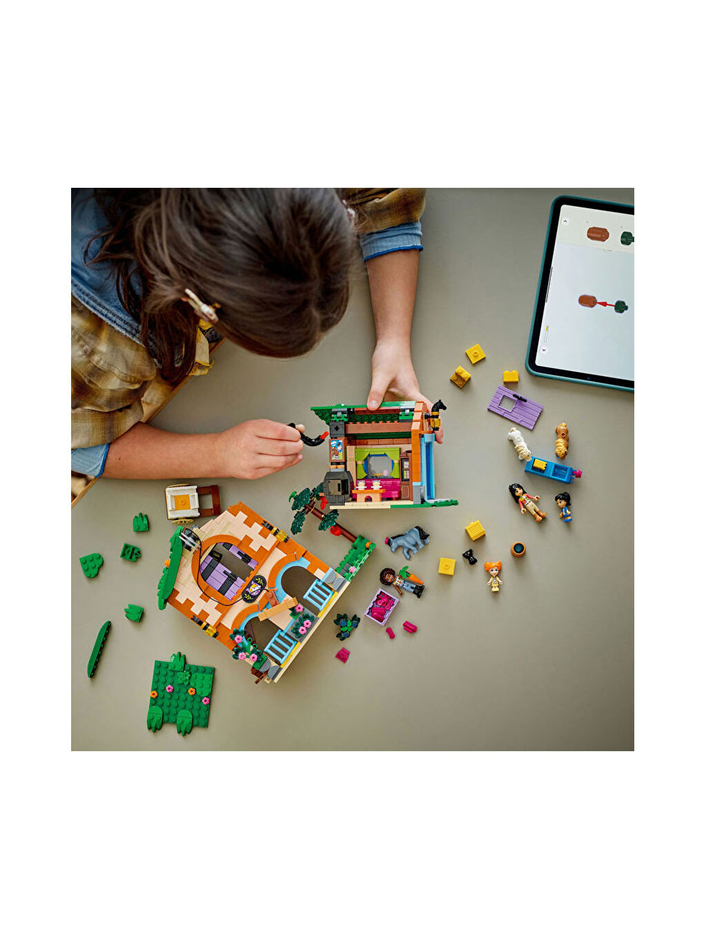 Friends Midilli Çiftliği ve Ahır 42654-4