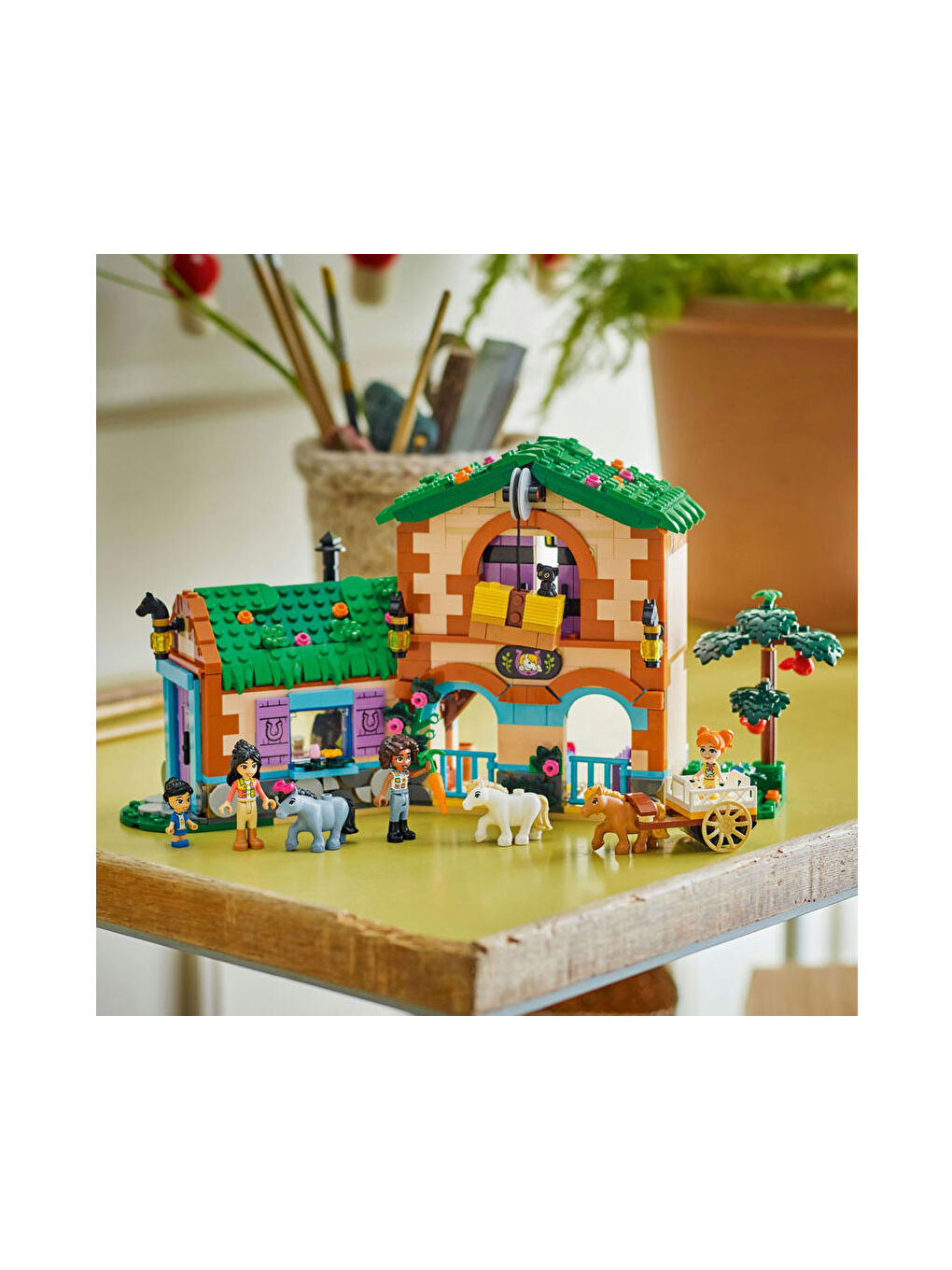 Friends Midilli Çiftliği ve Ahır 42654-5