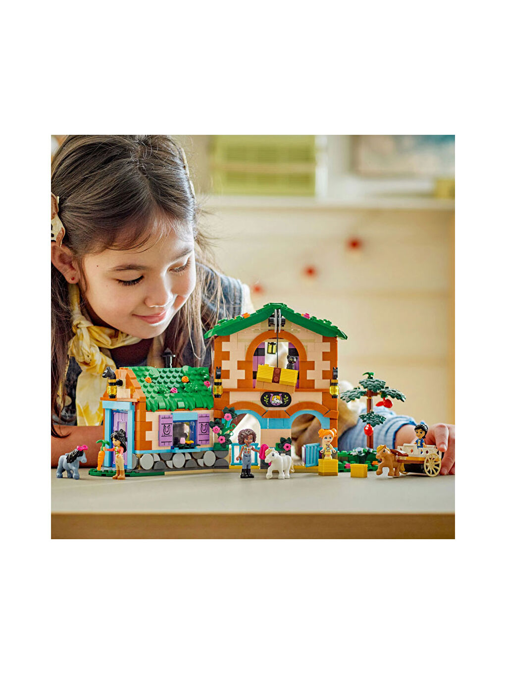 Friends Midilli Çiftliği ve Ahır 42654-9