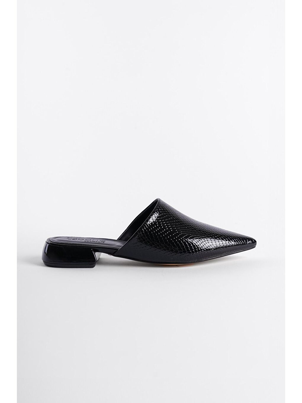 Siyah Sivri Burunlu Kısa Topuklu Kapalı Kadın Terlik-1