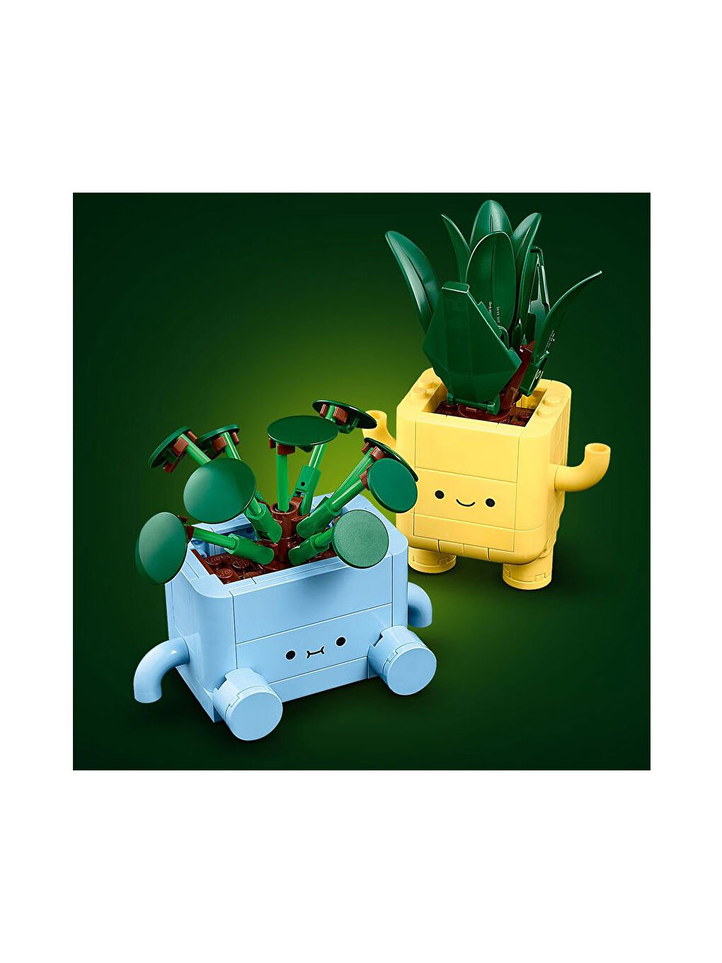 Botanicals Mutlu Bitkiler 10349-4