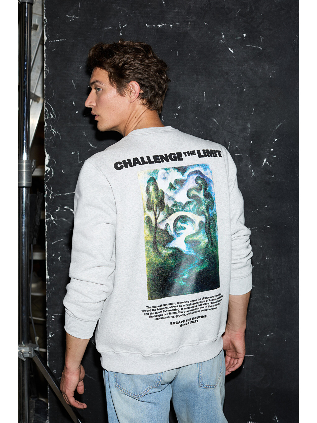 Alarıc Erkek Yuvarlak Yaka Önü Baskılı Regular Fit Gri Melanj Sweatshirt-1