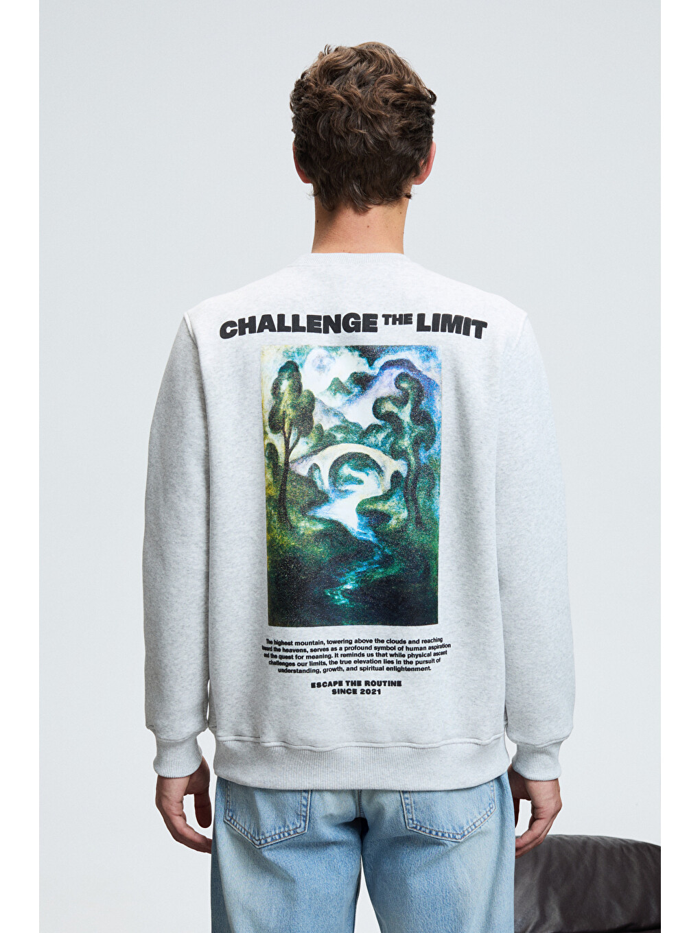 Alarıc Erkek Yuvarlak Yaka Önü Baskılı Regular Fit Gri Melanj Sweatshirt-3