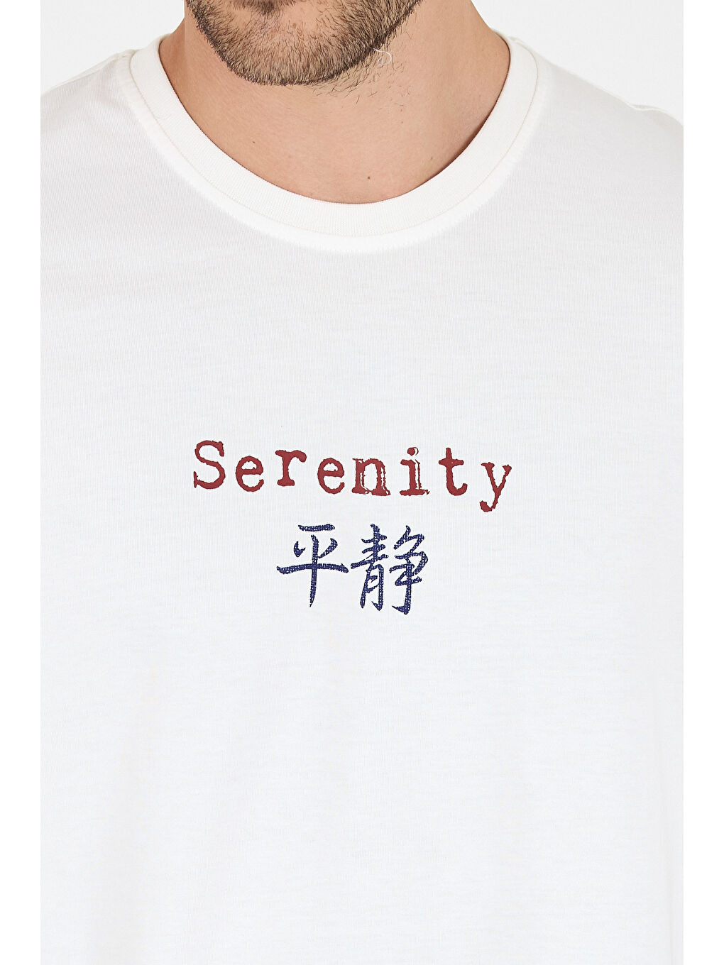 Ekru %100 Pamuk Bisiklet Yaka Baskılı Rahat Kesim, Nefes Alabilir Kumaş Erkek Tişört Basic Tişört 0104-3