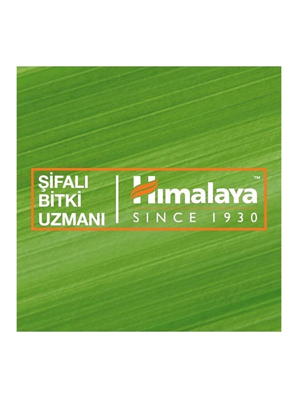 Himalaya Since 1930 Yoğun Nemlendirici El Ve Vücut Kremi, Badem Yağı, Buğday Tohumu, E Vitamini, Tüm Ciltler, 150+50 Ml - 9