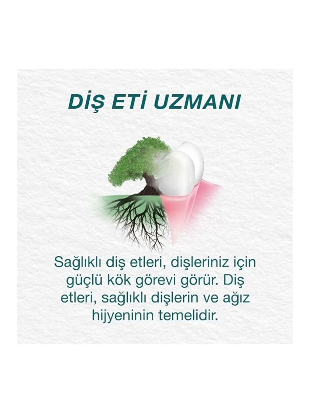 Himalaya Since 1930 Sparkly White Beyazlatıcı Diş Macunu, Bitkisel, Vejetaryen, Florürsüz, Parabensiz, 75 Ml 3 Adet - 7