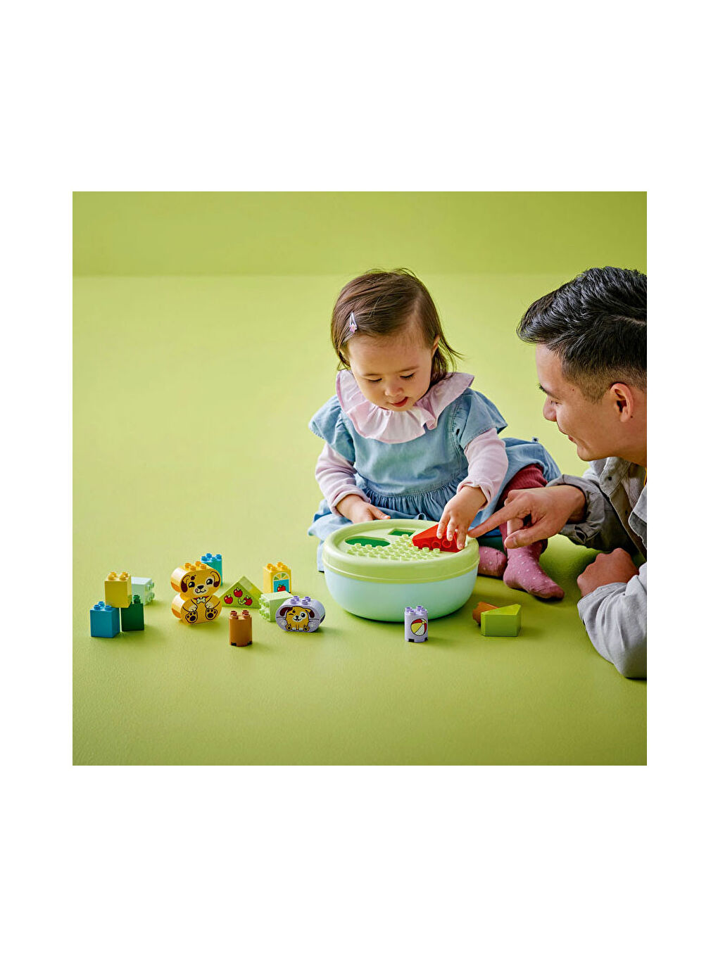 Duplo Şekil Ayırıcı Köpek Evi 10441-3