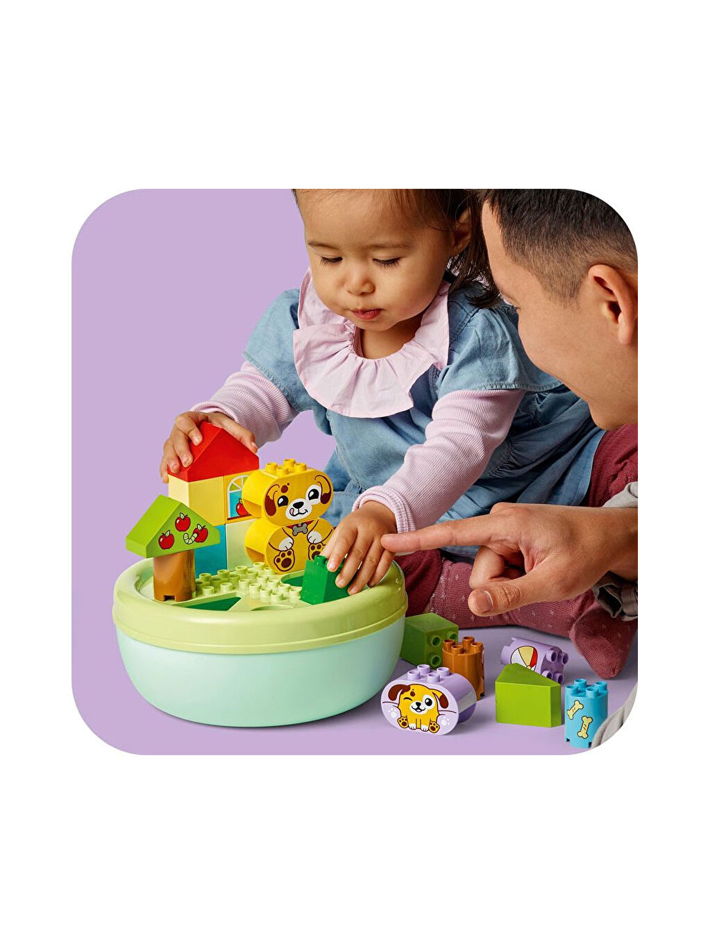 Duplo Şekil Ayırıcı Köpek Evi 10441-7