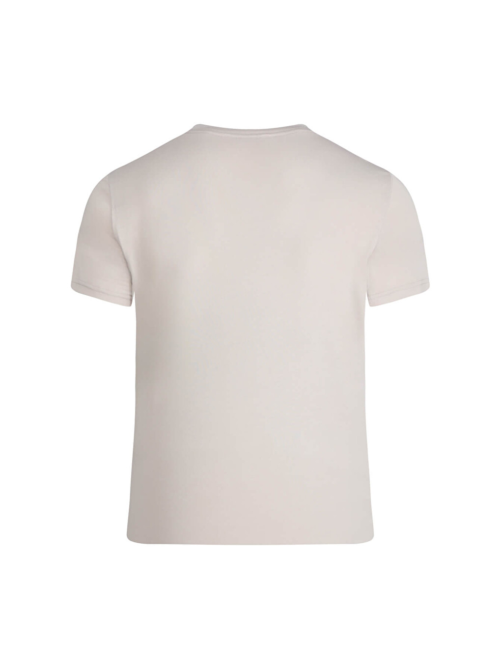 Bej Taş Regular Fit Bisiklet Yaka Tişört-2