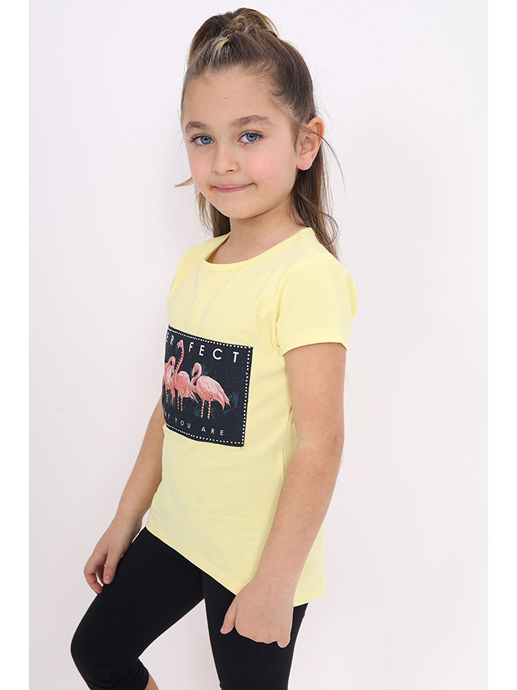 Sarı Kız Çocuk Flamingo Baskılı Tişört-2