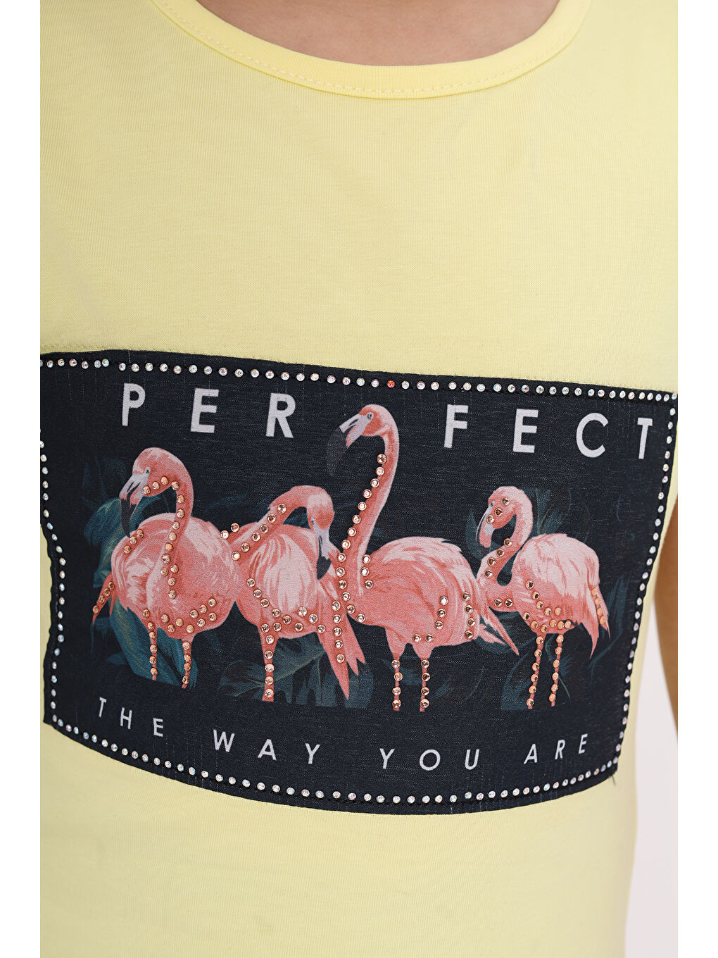 Sarı Kız Çocuk Flamingo Baskılı Tişört-4