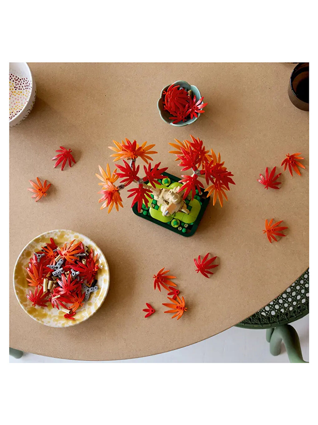 Botanicals Japon Kırmızı Akçaağaç Bonsai Ağacı 10348-1