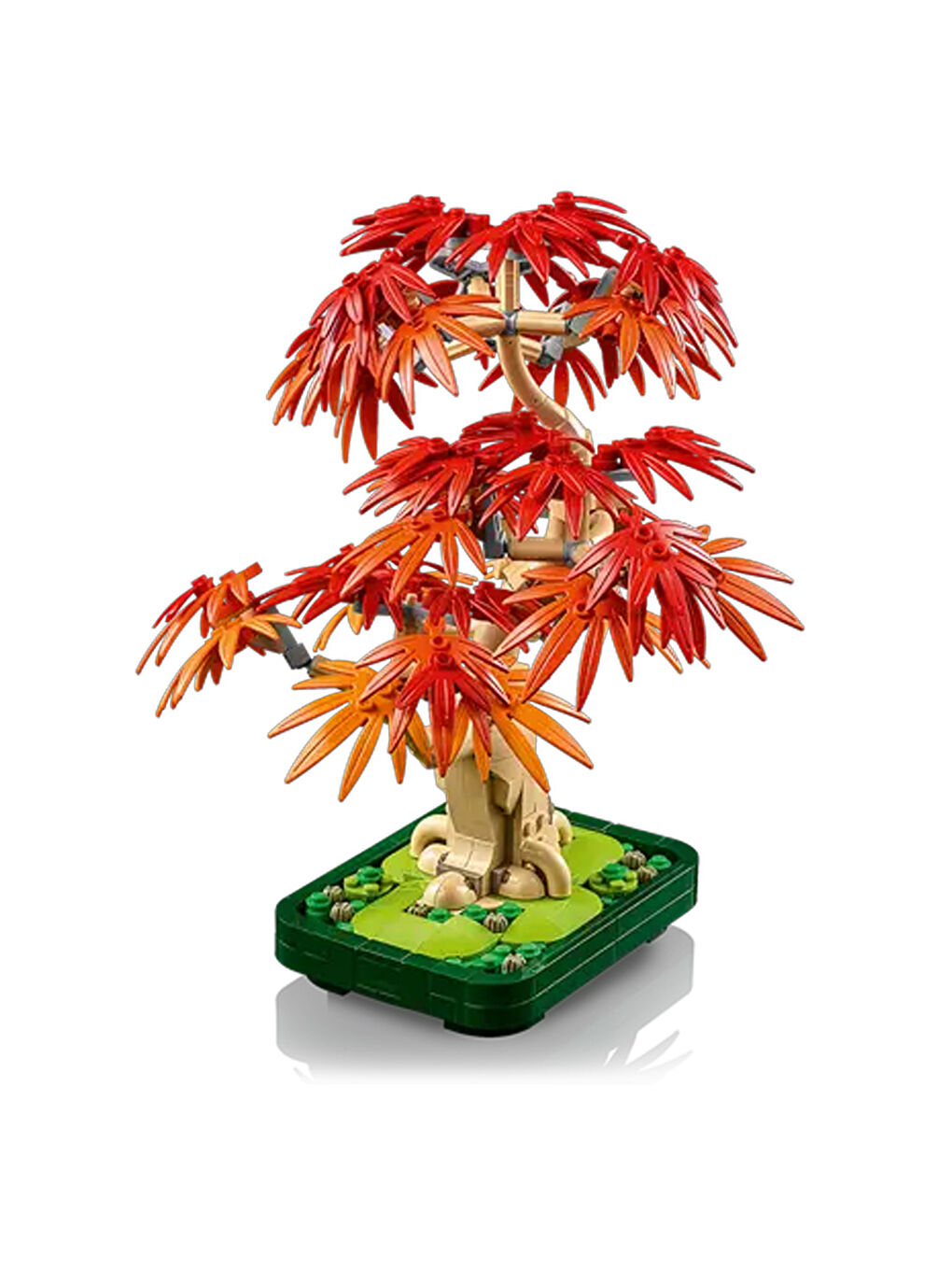 Botanicals Japon Kırmızı Akçaağaç Bonsai Ağacı 10348-2