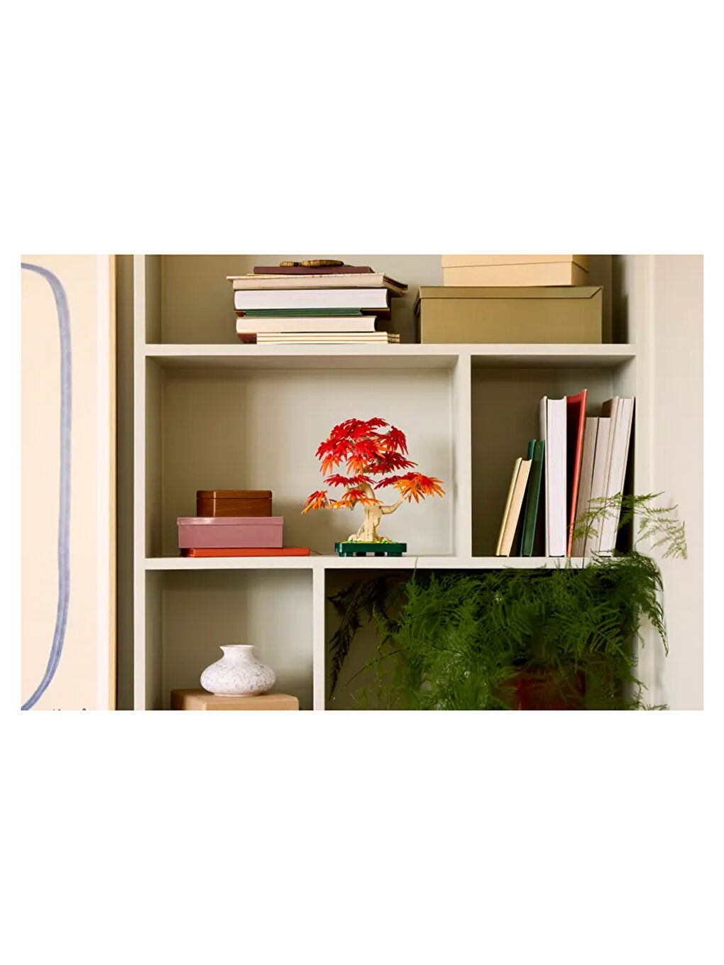 Botanicals Japon Kırmızı Akçaağaç Bonsai Ağacı 10348-3