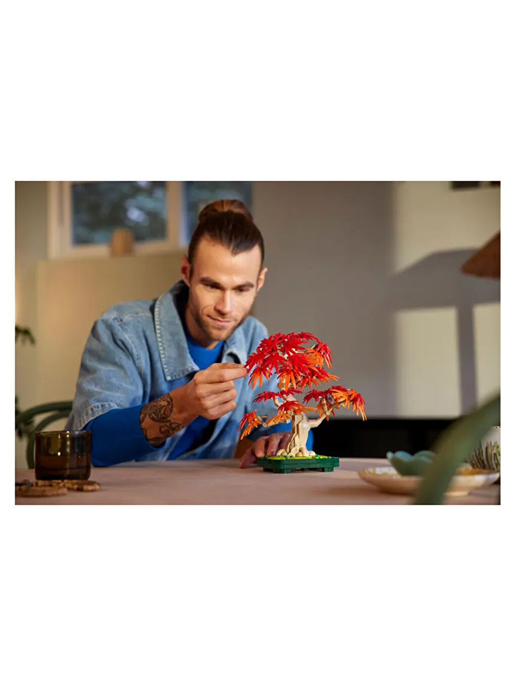 Botanicals Japon Kırmızı Akçaağaç Bonsai Ağacı 10348-4