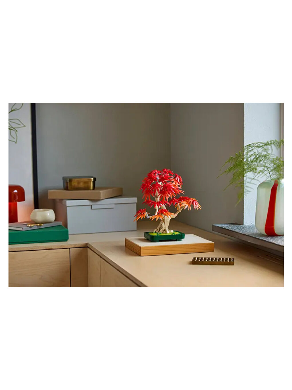 Botanicals Japon Kırmızı Akçaağaç Bonsai Ağacı 10348-5