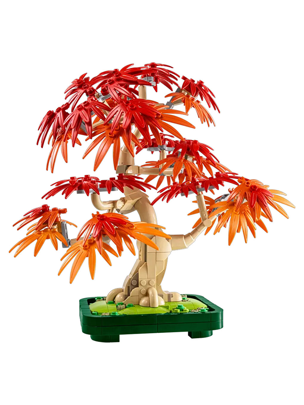 Botanicals Japon Kırmızı Akçaağaç Bonsai Ağacı 10348-6