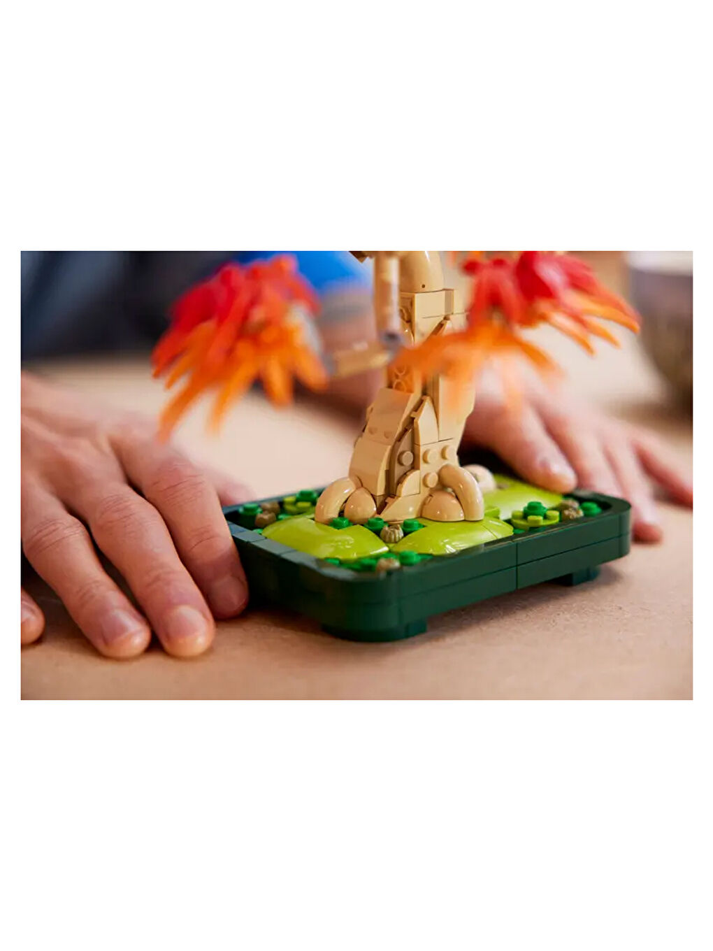 Botanicals Japon Kırmızı Akçaağaç Bonsai Ağacı 10348-7