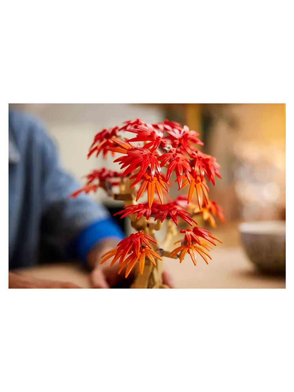 Botanicals Japon Kırmızı Akçaağaç Bonsai Ağacı 10348-8