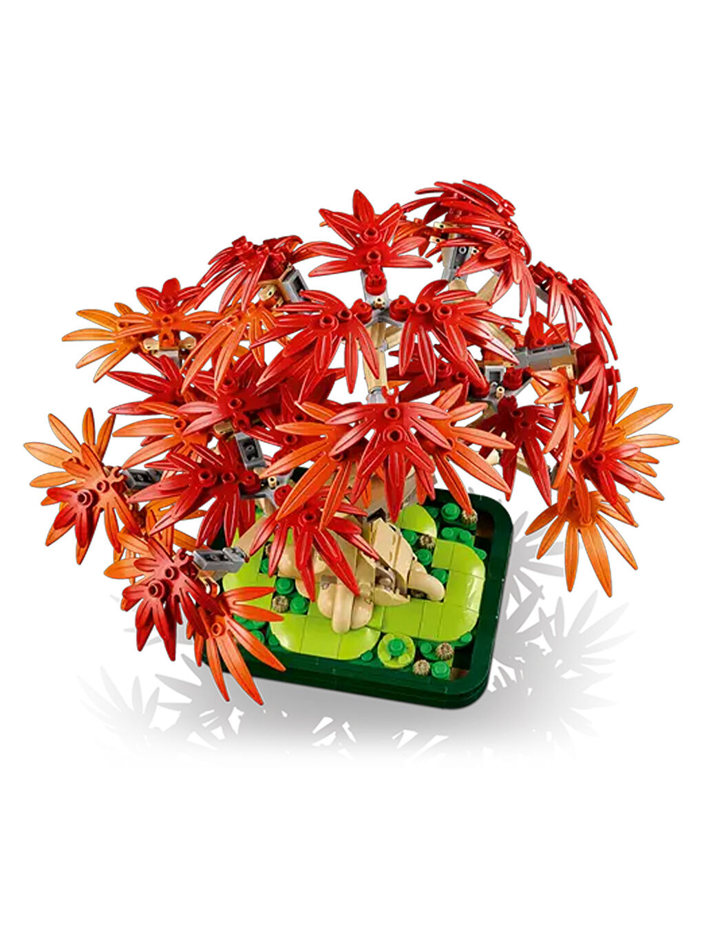 Botanicals Japon Kırmızı Akçaağaç Bonsai Ağacı 10348-9