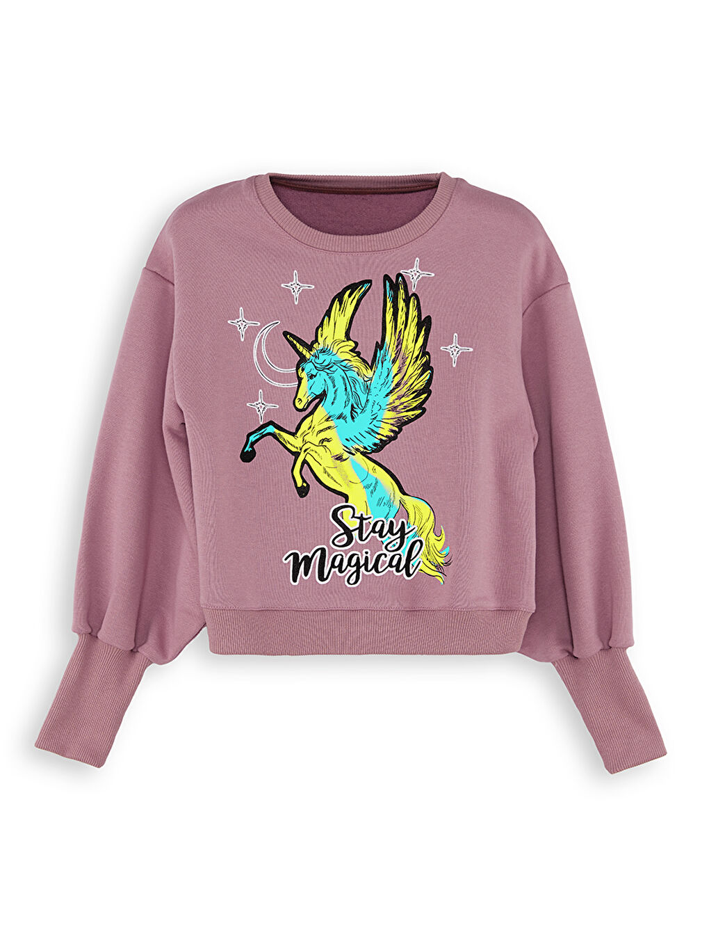 Pembe Kız Çocuk Gül Kurusu Sweatshirt-2