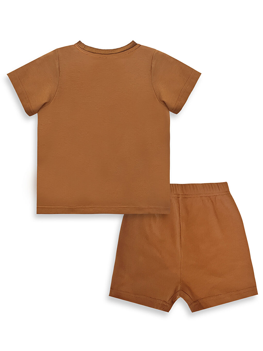 Kahverengi Dinozor Erkek Bebek T-shirt Kaşkorse Şort Takım-2