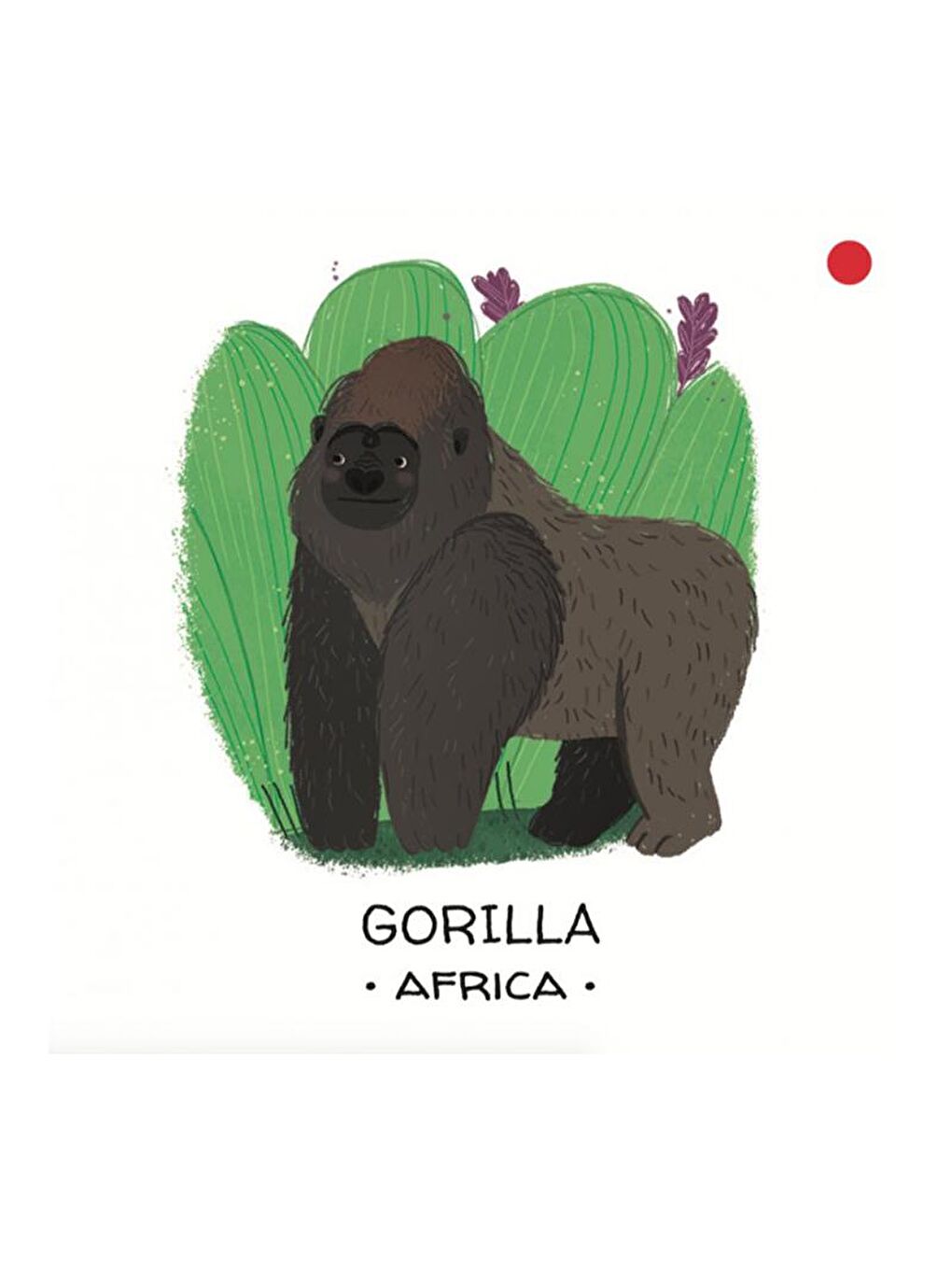 Animals to Save - Tropical Forests-3