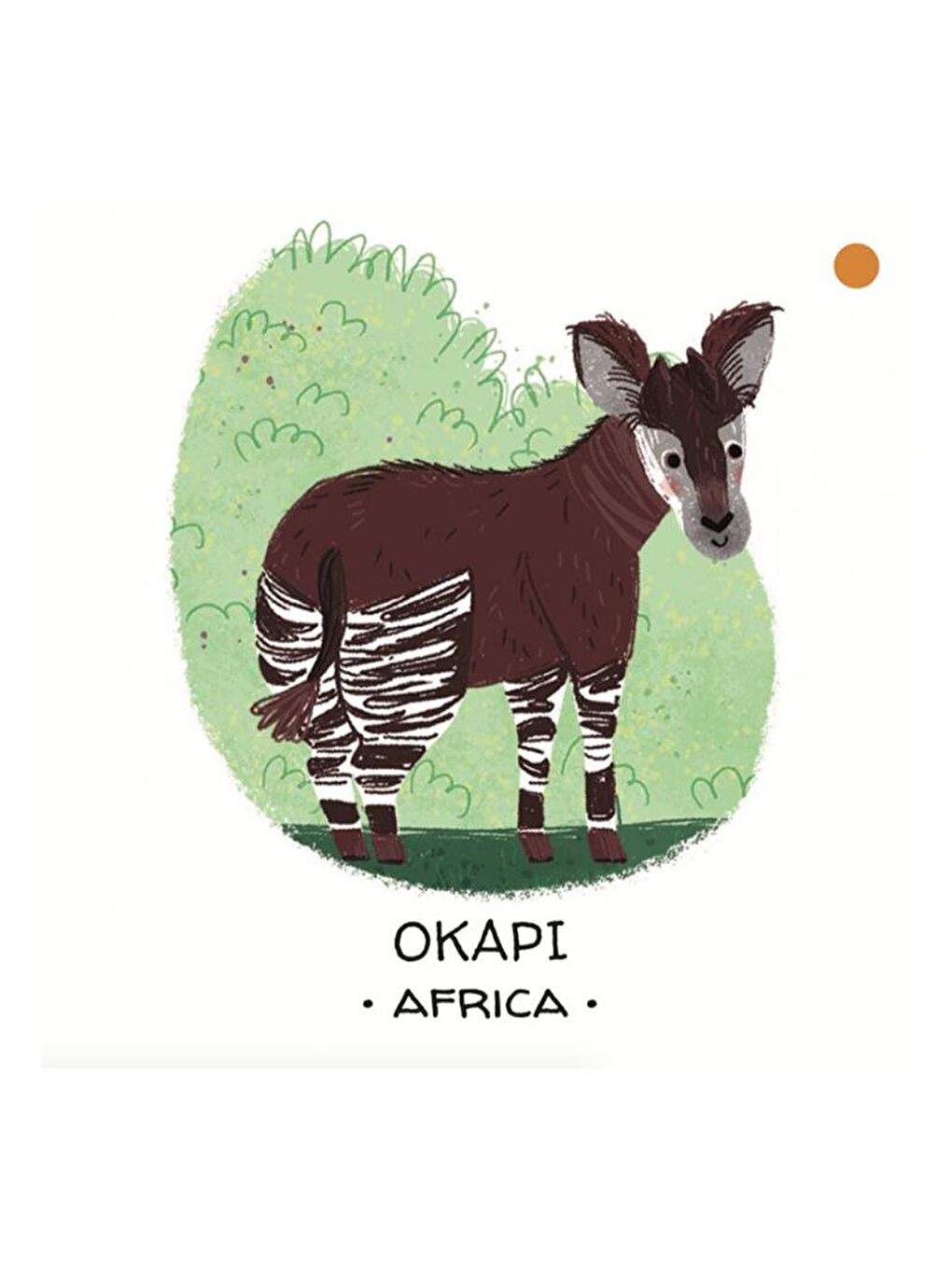 Animals to Save - Tropical Forests-5