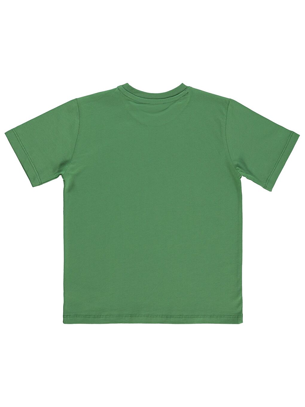 Boys Basic Surf Etiketli 6-9 Yaş Tişört - Yeşil-1