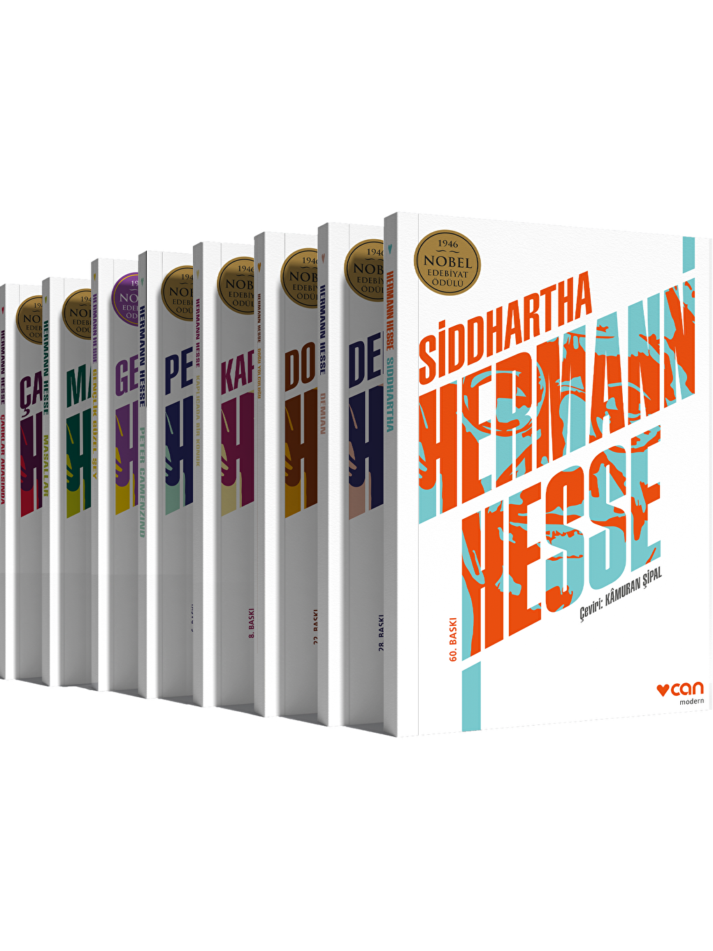 Hermann Hesse Kitap Seti (8 Kitap)