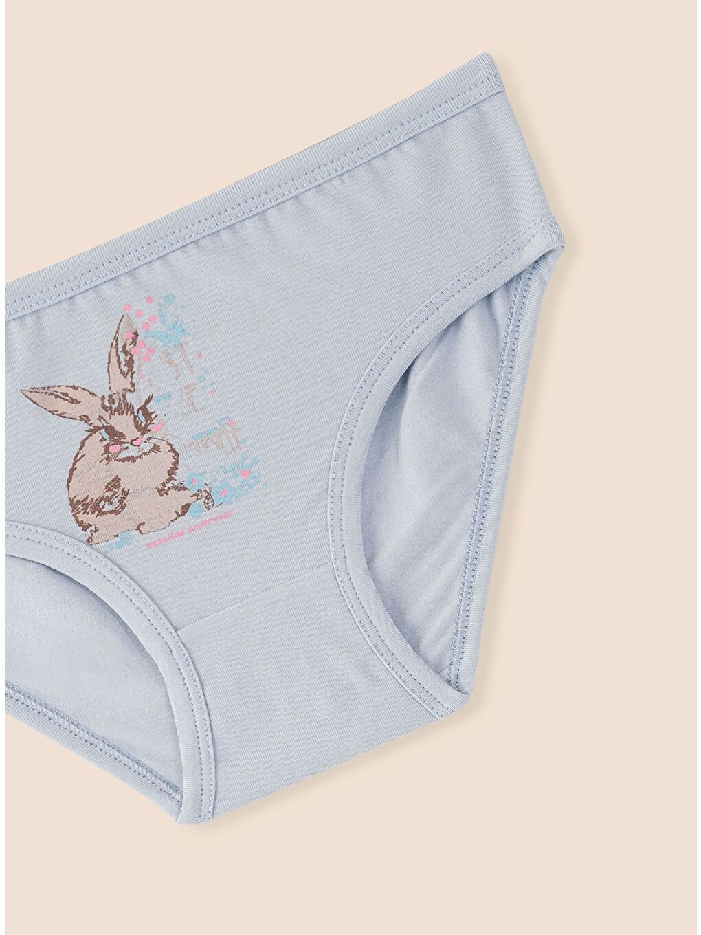 Mavi Kız Çocuk Organik Pamuklu Elastanlı Külot Just Be Rabbit Yourself Rabbit 3'lü Paket-2
