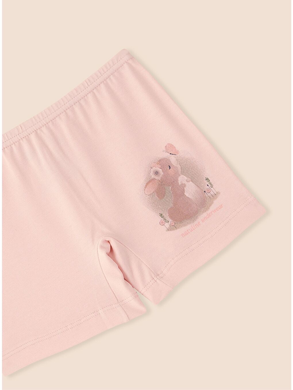 Pembe Kız Çocuk Organik Pamuklu Elastanlı Boxer Rabbit 6'lı Paket-4