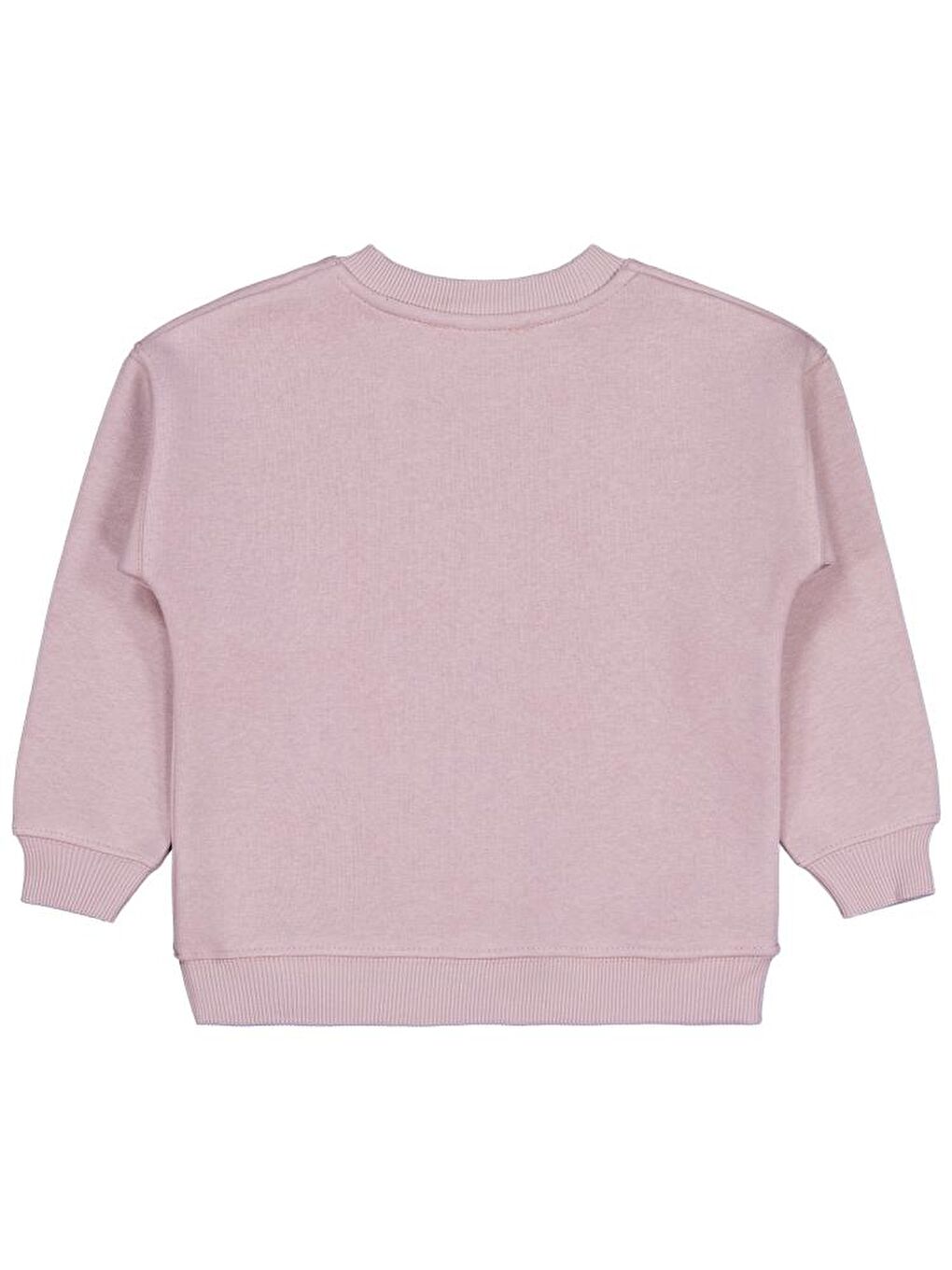 Pembe Girls POSSITIVE Baskılı 2-5 Yaş Sweatshirt