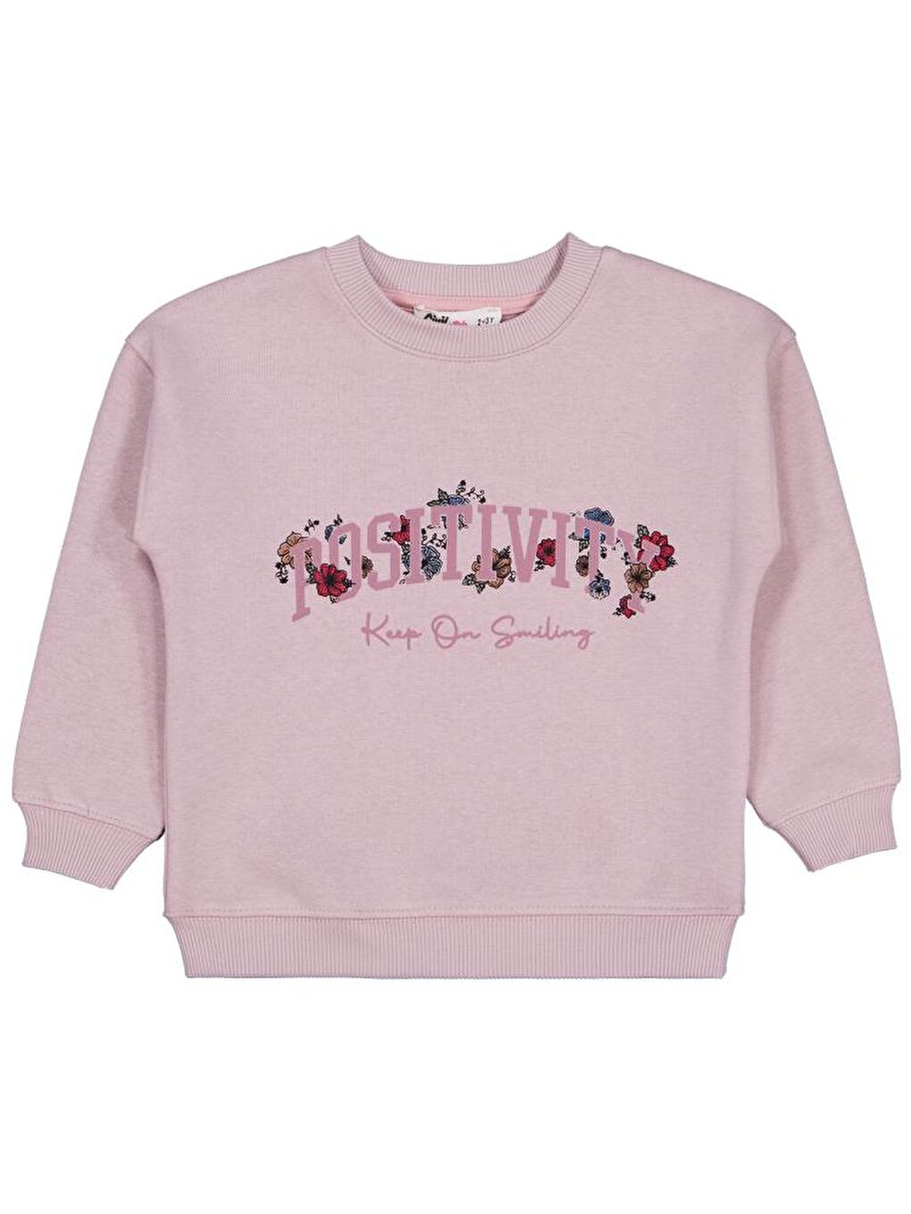 Pembe Girls POSSITIVE Baskılı 2-5 Yaş Sweatshirt-1