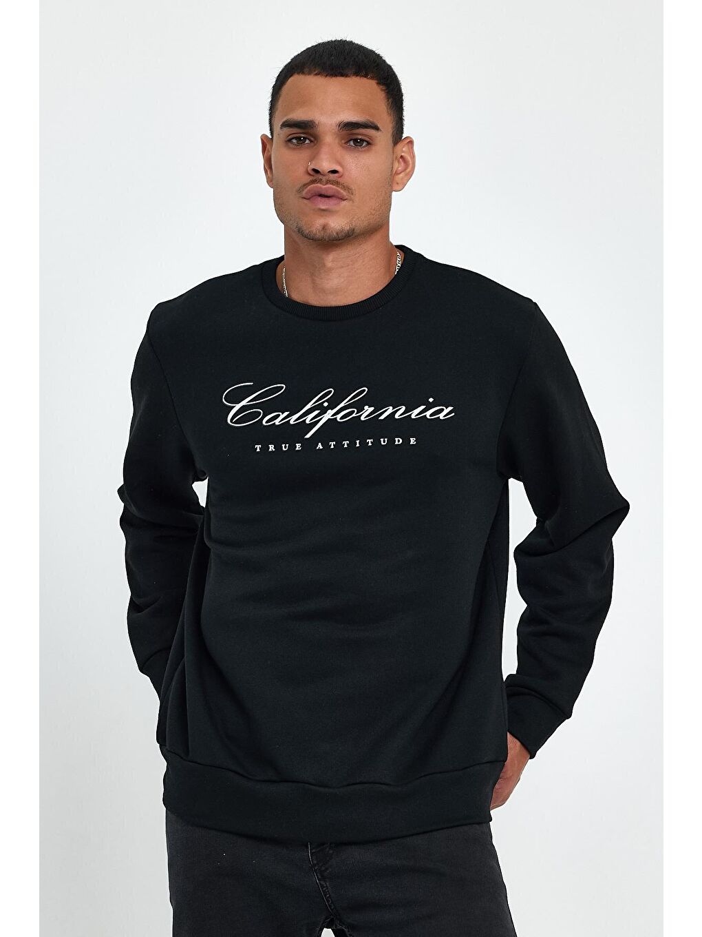 Siyah Erkek Bisiklet Yaka Regular Fit 3 İplik Kalın California Baskılı Sweatshirt spr24sw28-1