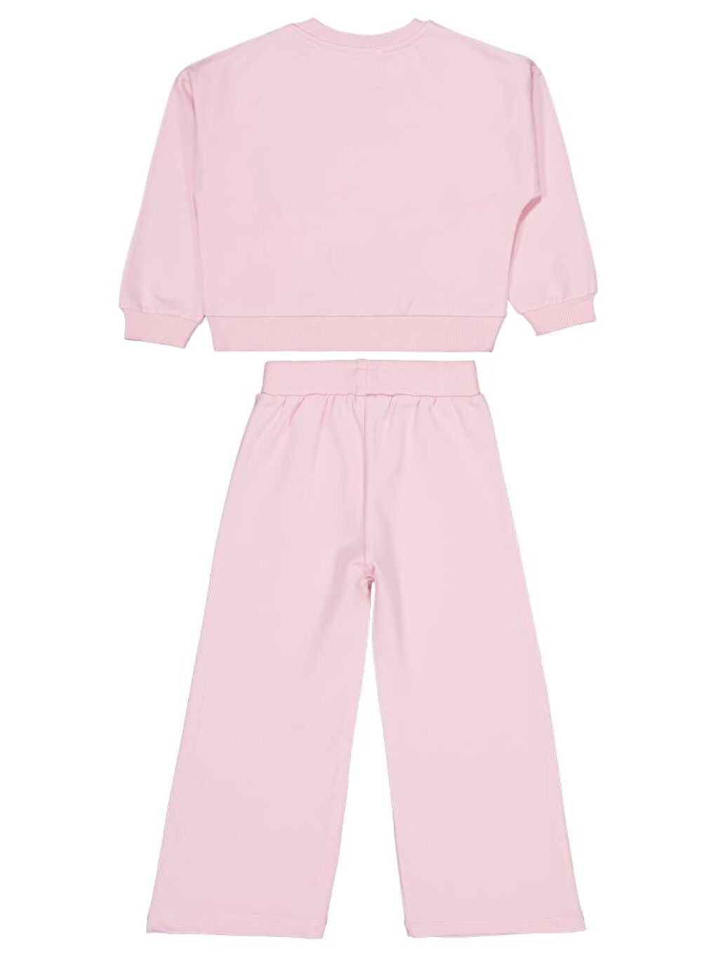 Pembe Girls Çiçek Aksesuarlı 2-5 Yaş Eşofman Takımı-2