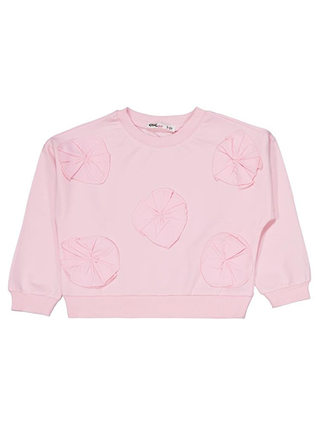 Pembe Girls Çiçek Aksesuarlı 2-5 Yaş Eşofman Takımı-1