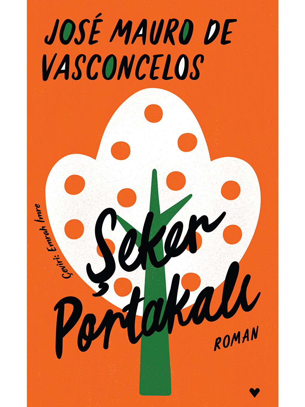 Vasconcelos Ciltli Kitaplar Seti-1