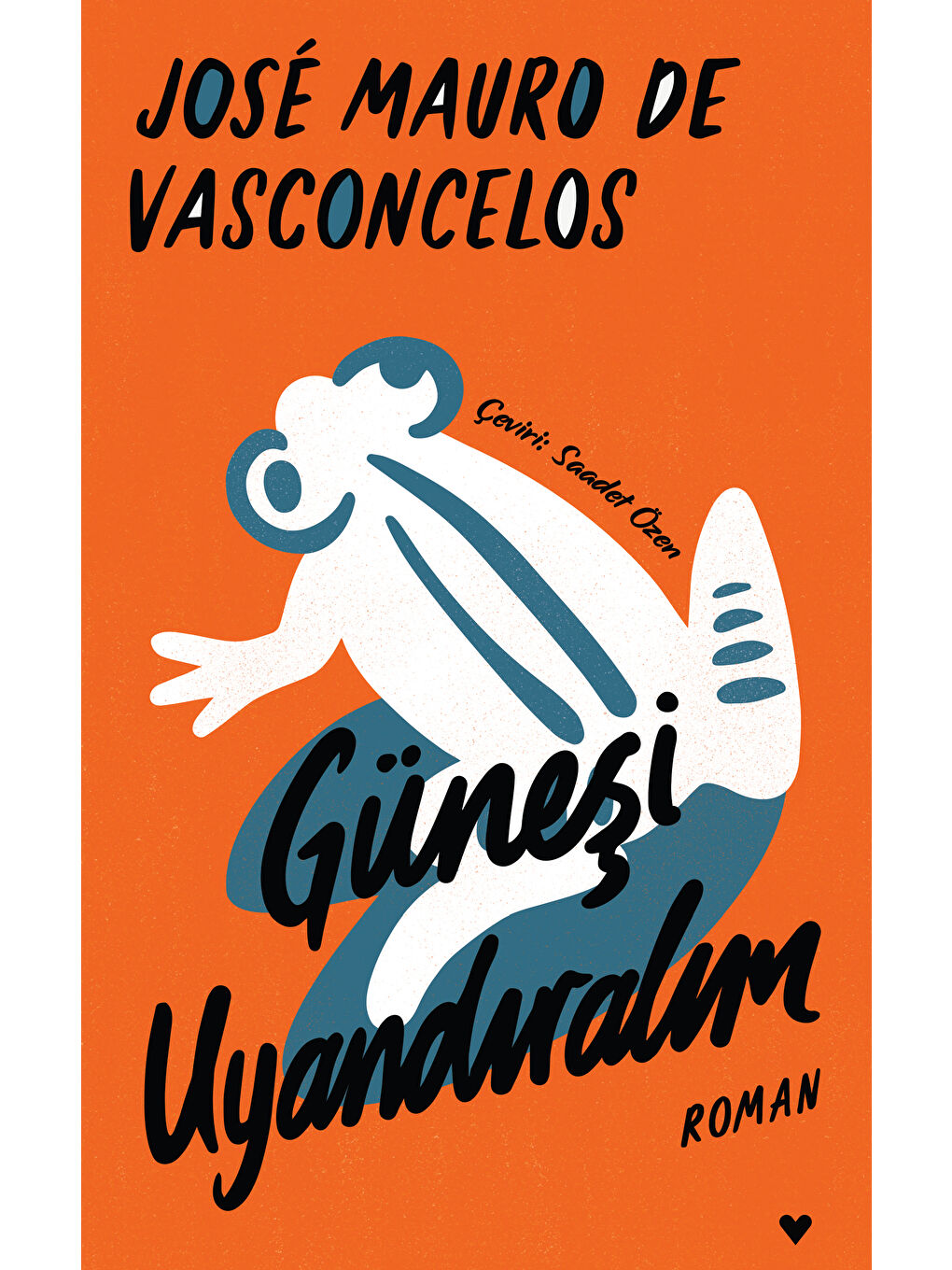 Vasconcelos Ciltli Kitaplar Seti-2