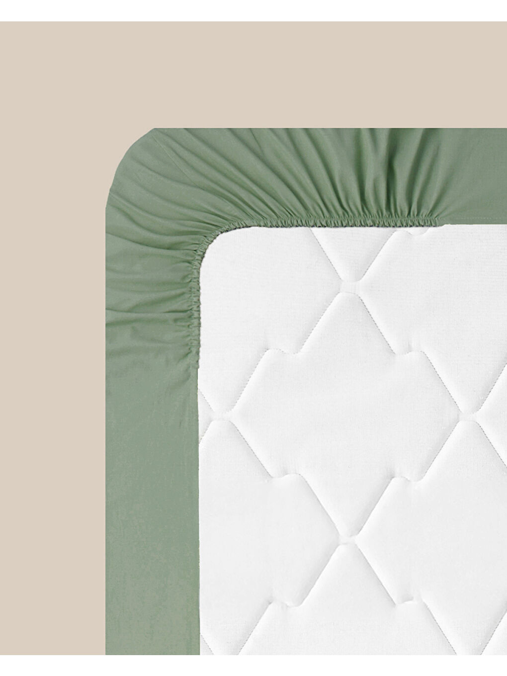 Pure Pamuklu King Size Lastikli Çarşaf 180x200 cm Çağla Yeşili-6