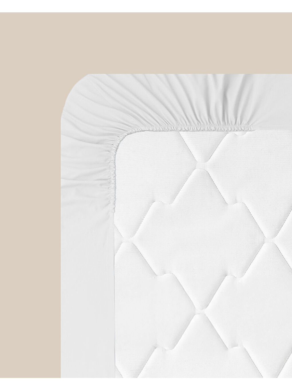 Pure Pamuklu King Size Lastikli Çarşaf 180x200 cm Beyaz-6