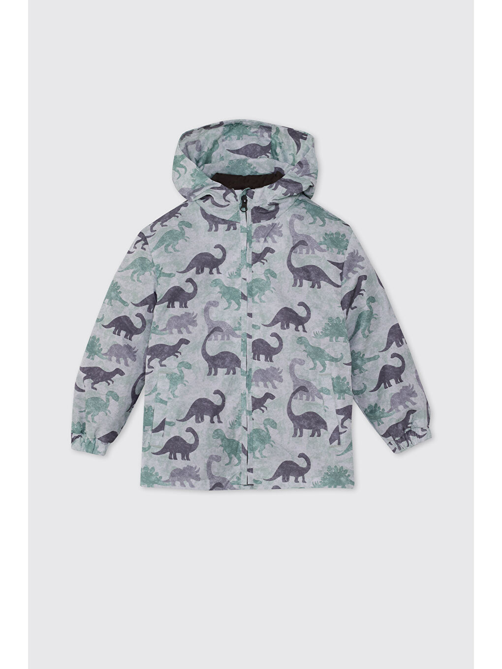 Erkek Bebek Dinozor Desenli Antrasit Mont
