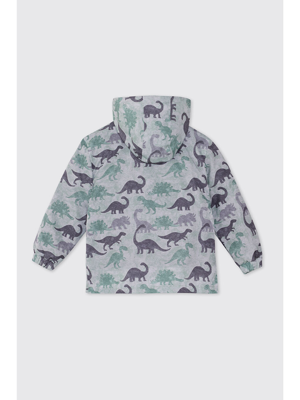 Erkek Bebek Dinozor Desenli Antrasit Mont-1