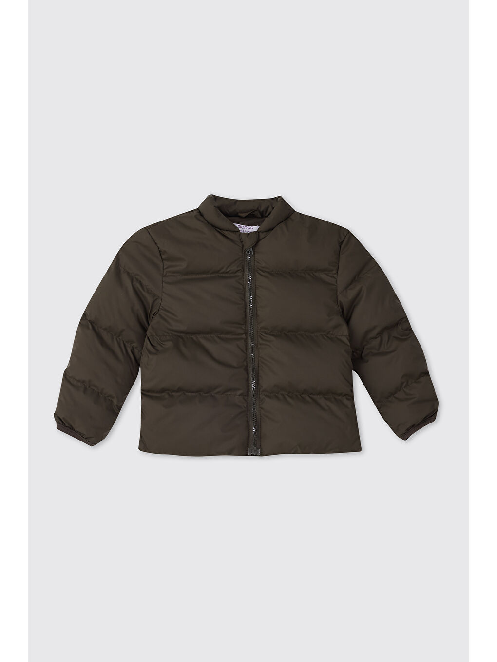 Erkek Bebek Dinozor Desenli Antrasit Mont-3